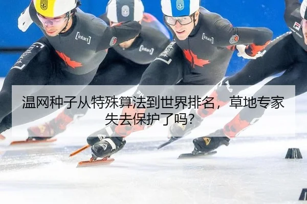 温网种子从特殊算法到世界排名，草地专家失去保护了吗？